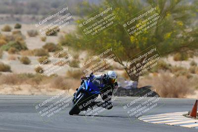 media/Apr-10-2022-SoCal Trackdays (Sun) [[f104b12566]]/Turn 5 Tree of Life (1040am)/